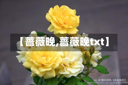 【蔷薇晚,蔷薇晚txt】-第2张图片