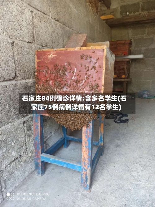 石家庄84例确诊详情:含多名学生(石家庄75例病例详情有12名学生)-第2张图片