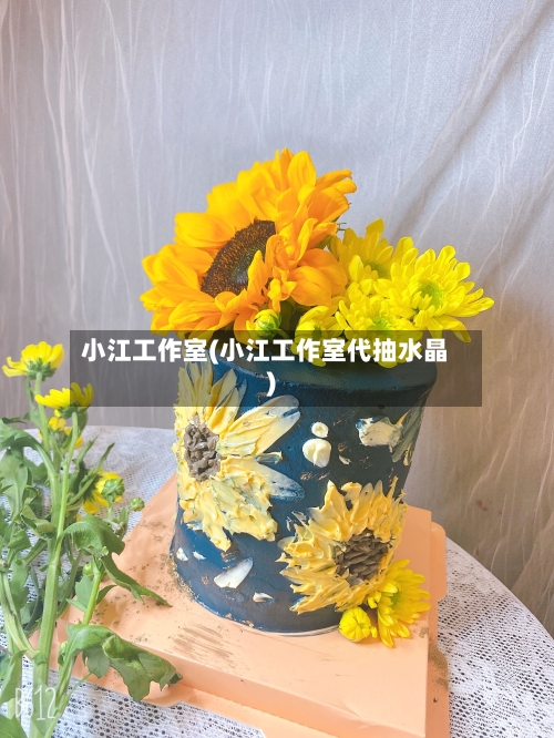 小江工作室(小江工作室代抽水晶)-第3张图片