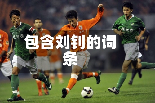 包含刘钊的词条-第1张图片