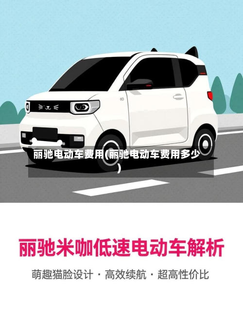 丽驰电动车费用(丽驰电动车费用多少)-第2张图片