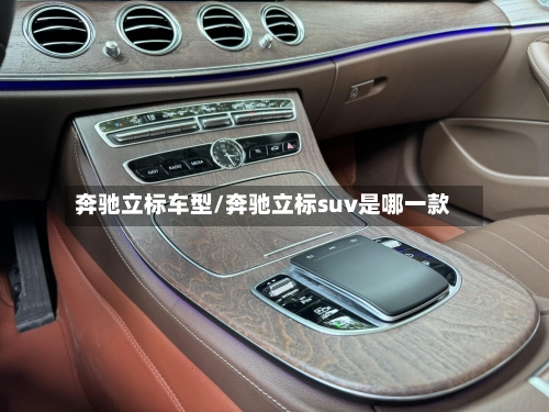 奔驰立标车型/奔驰立标suv是哪一款-第3张图片
