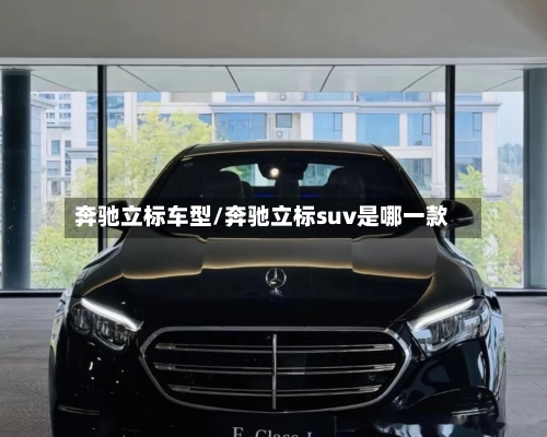 奔驰立标车型/奔驰立标suv是哪一款-第1张图片