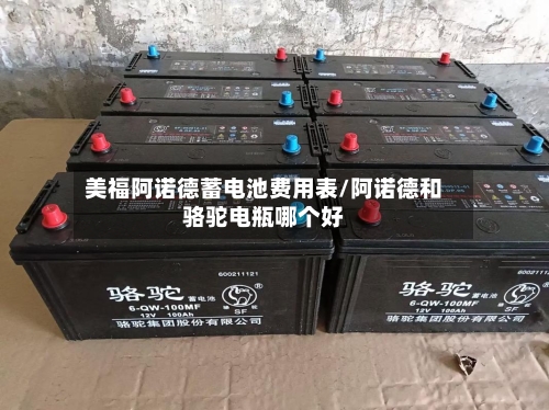美福阿诺德蓄电池费用表/阿诺德和骆驼电瓶哪个好-第1张图片