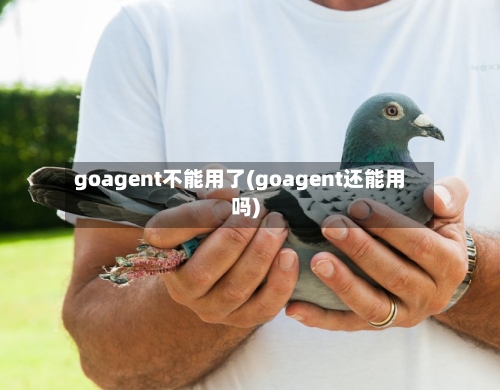 goagent不能用了(goagent还能用吗)-第1张图片