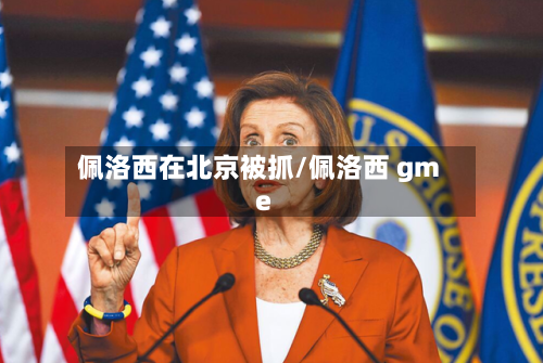 佩洛西在北京被抓/佩洛西 gme-第2张图片