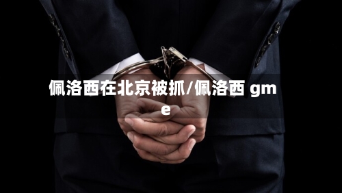 佩洛西在北京被抓/佩洛西 gme-第3张图片