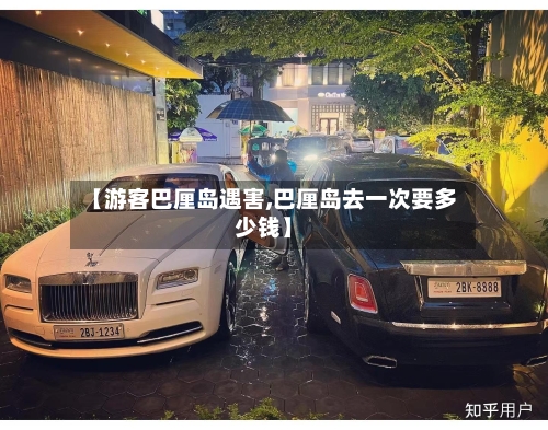 【游客巴厘岛遇害,巴厘岛去一次要多少钱】-第3张图片