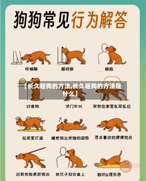 【长久驱狗的方法,长久驱狗的方法是什么】-第1张图片