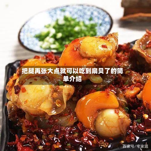 把腿再张大点就可以吃到扇贝了的简单介绍-第2张图片