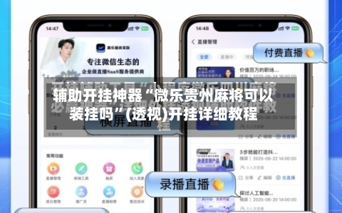 辅助开挂神器“微乐贵州麻将可以装挂吗	”(透视)开挂详细教程-第1张图片