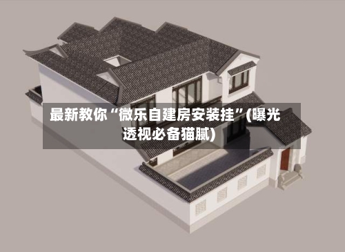 最新教你“微乐自建房安装挂”(曝光透视必备猫腻)-第1张图片