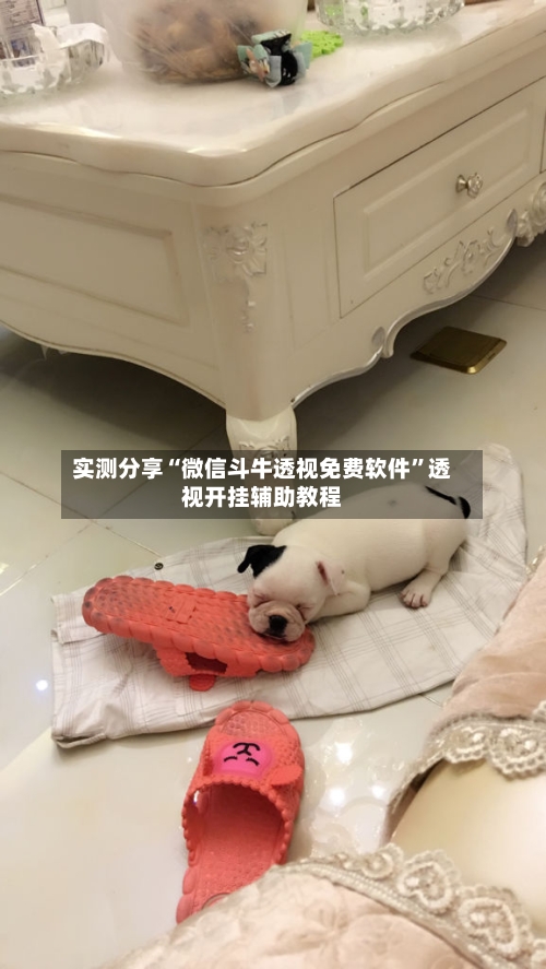 实测分享“微信斗牛透视免费软件”透视开挂辅助教程-第2张图片