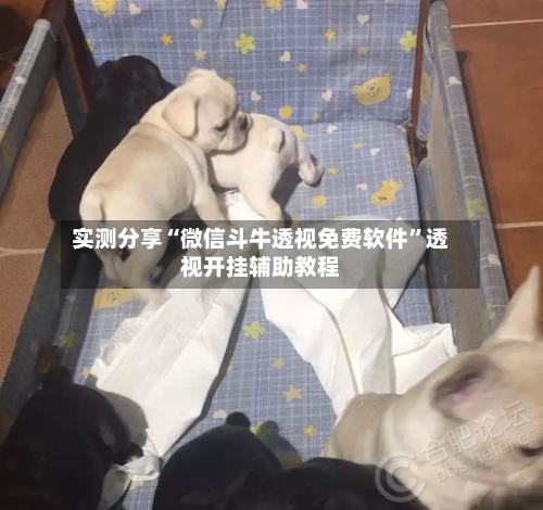 实测分享“微信斗牛透视免费软件	”透视开挂辅助教程-第1张图片