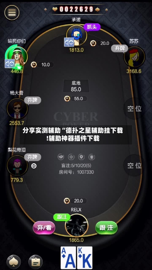 分享实测辅助“德扑之星辅助挂下载!辅助神器插件下载-第2张图片