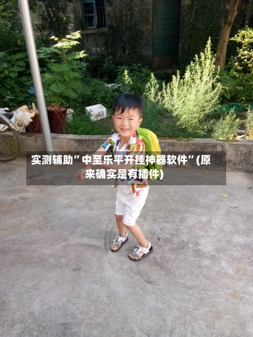 实测辅助”中至乐平开挂神器软件	”(原来确实是有插件)-第1张图片