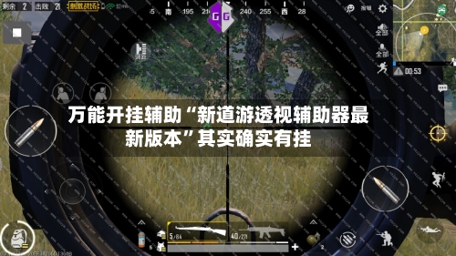 万能开挂辅助“新道游透视辅助器最新版本	”其实确实有挂-第2张图片