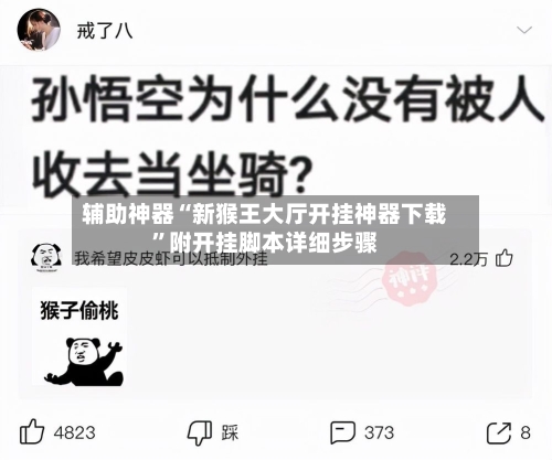 辅助神器“新猴王大厅开挂神器下载”附开挂脚本详细步骤-第3张图片