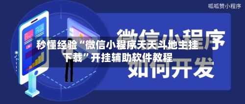 秒懂经验“微信小程序天天斗地主挂下载”开挂辅助软件教程-第1张图片