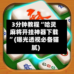3分钟教程“哈灵麻将开挂神器下载”(曝光透视必备猫腻)-第2张图片