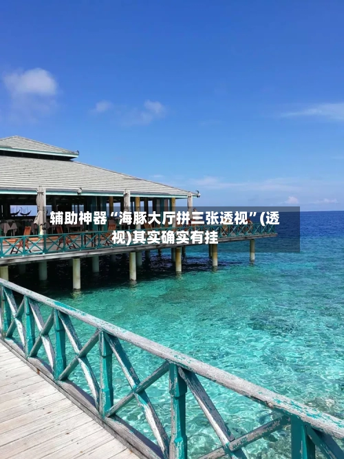 辅助神器“海豚大厅拼三张透视	”(透视)其实确实有挂-第2张图片