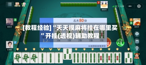 [教程经验]“天天摸麻将挂在哪里买	”开挂(透视)辅助教程-第3张图片