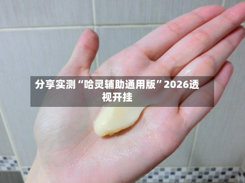 分享实测“哈灵辅助通用版	”2026透视开挂-第2张图片