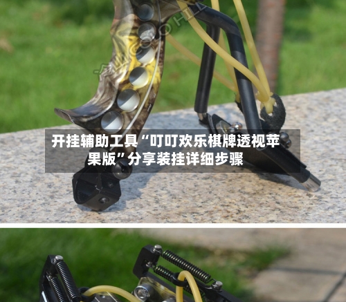 开挂辅助工具“叮叮欢乐棋牌透视苹果版”分享装挂详细步骤-第3张图片