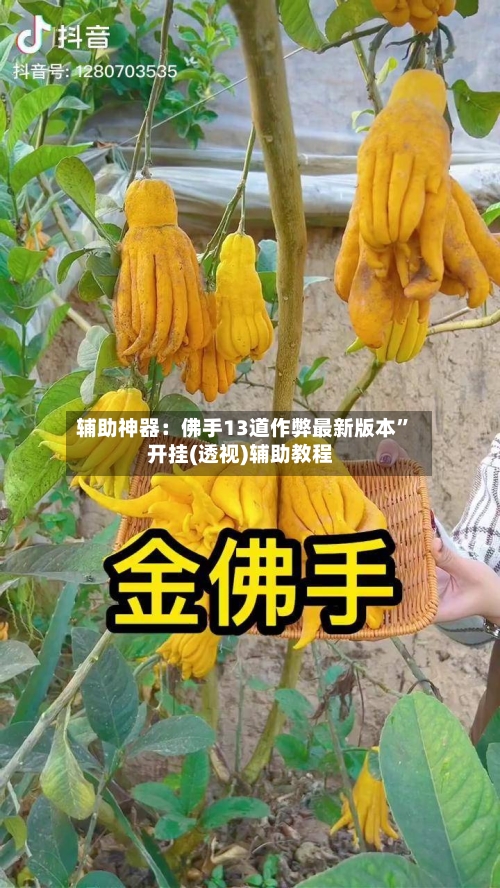 辅助神器：佛手13道作弊最新版本	”开挂(透视)辅助教程-第2张图片
