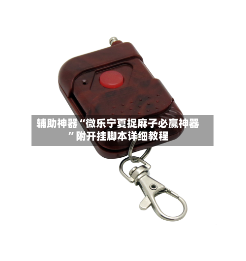 辅助神器“微乐宁夏捉麻子必赢神器”附开挂脚本详细教程-第1张图片