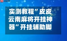 实测教程”皮皮云南麻将开挂神器”开挂辅助脚本+详细-第1张图片
