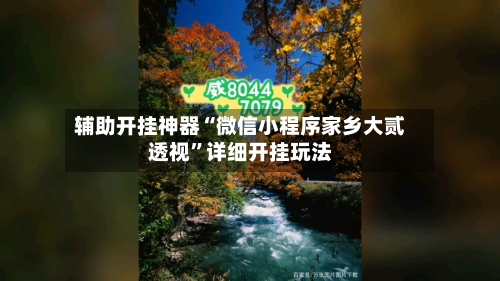 辅助开挂神器“微信小程序家乡大贰透视”详细开挂玩法-第1张图片