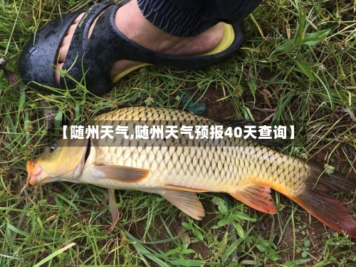 【随州天气,随州天气预报40天查询】-第3张图片