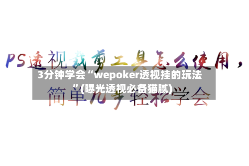3分钟学会“wepoker透视挂的玩法”(曝光透视必备猫腻)-第1张图片