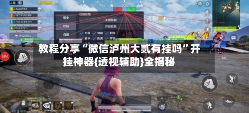 教程分享“微信泸州大贰有挂吗”开挂神器{透视辅助}全揭秘-第3张图片