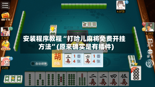 安装程序教程“打哈儿麻将免费开挂方法	”(原来确实是有插件)-第2张图片