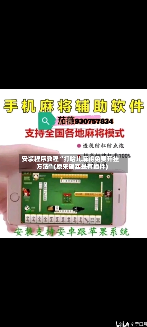 安装程序教程“打哈儿麻将免费开挂方法”(原来确实是有插件)-第1张图片