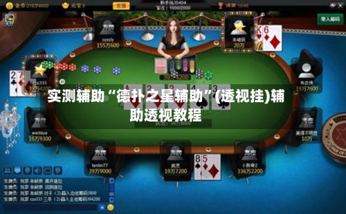 实测辅助“德扑之星辅助”(透视挂)辅助透视教程-第3张图片