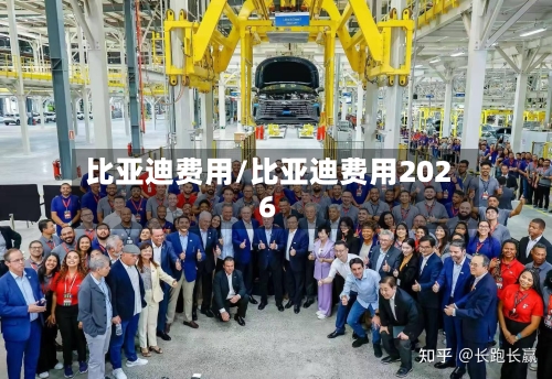 比亚迪费用/比亚迪费用2026-第1张图片