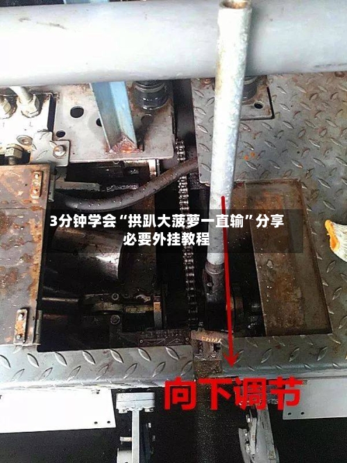 3分钟学会“拱趴大菠萝一直输”分享必要外挂教程-第1张图片