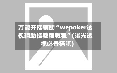 万能开挂辅助“wepoker透视辅助挂教程教程”(曝光透视必备猫腻)-第1张图片