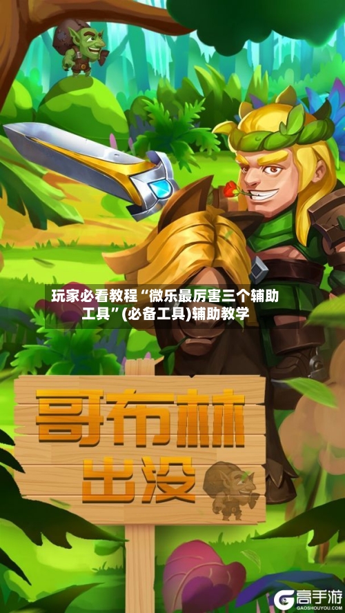 玩家必看教程“微乐最厉害三个辅助工具	”(必备工具)辅助教学-第1张图片