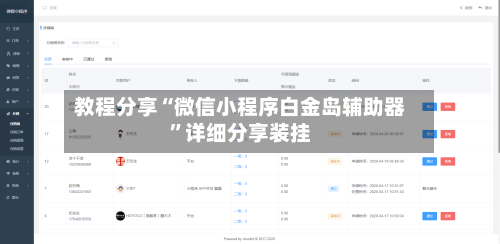 教程分享“微信小程序白金岛辅助器	”详细分享装挂-第1张图片