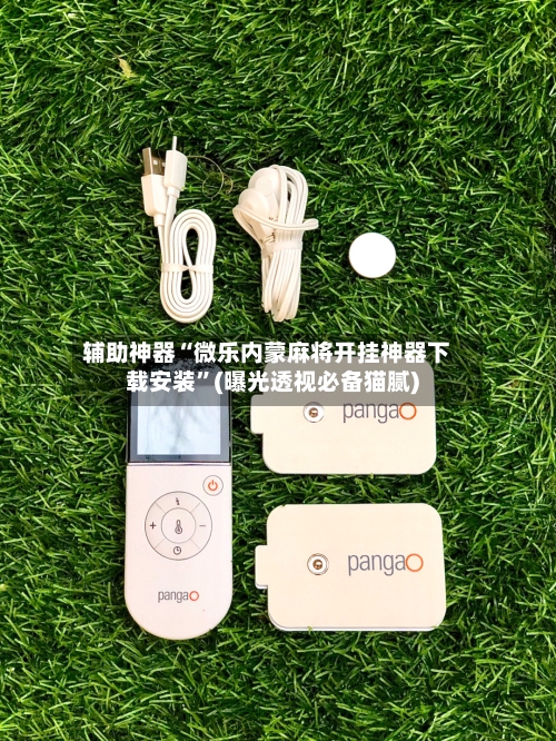 辅助神器“微乐内蒙麻将开挂神器下载安装”(曝光透视必备猫腻)-第1张图片