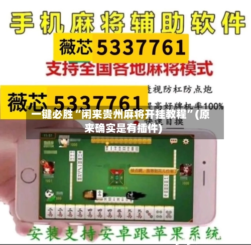 一键必胜“闲来贵州麻将开挂教程”(原来确实是有插件)-第3张图片