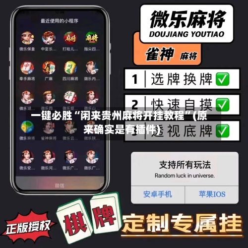 一键必胜“闲来贵州麻将开挂教程”(原来确实是有插件)-第2张图片