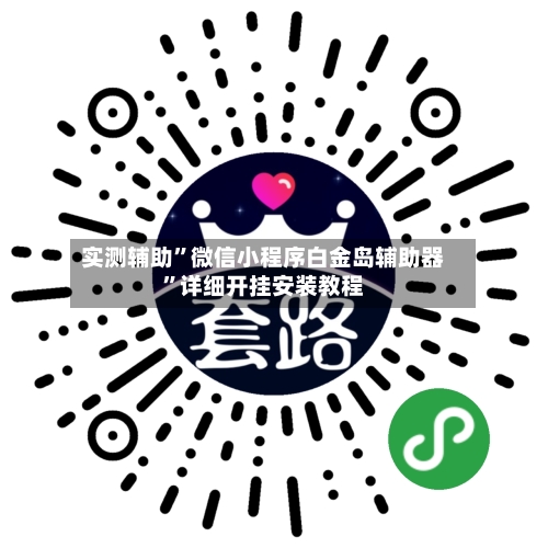 实测辅助	”微信小程序白金岛辅助器”详细开挂安装教程-第2张图片