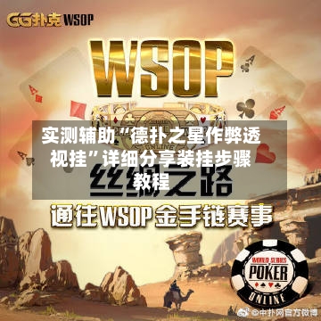 实测辅助“德扑之星作弊透视挂”详细分享装挂步骤教程-第1张图片