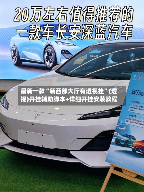 最新一款“新西部大厅有透视挂”(透视)开挂辅助脚本+详细开挂安装教程-第1张图片