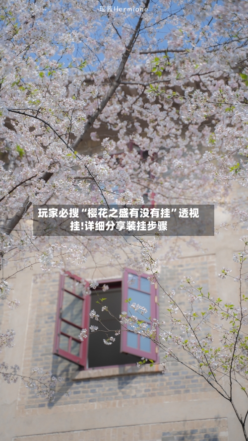 玩家必搜“樱花之盛有没有挂”透视挂!详细分享装挂步骤-第3张图片